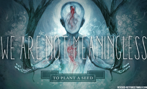 We Came As Romans Wcar Lyric Sign Beliefs To Plant A Seed Band Gifs