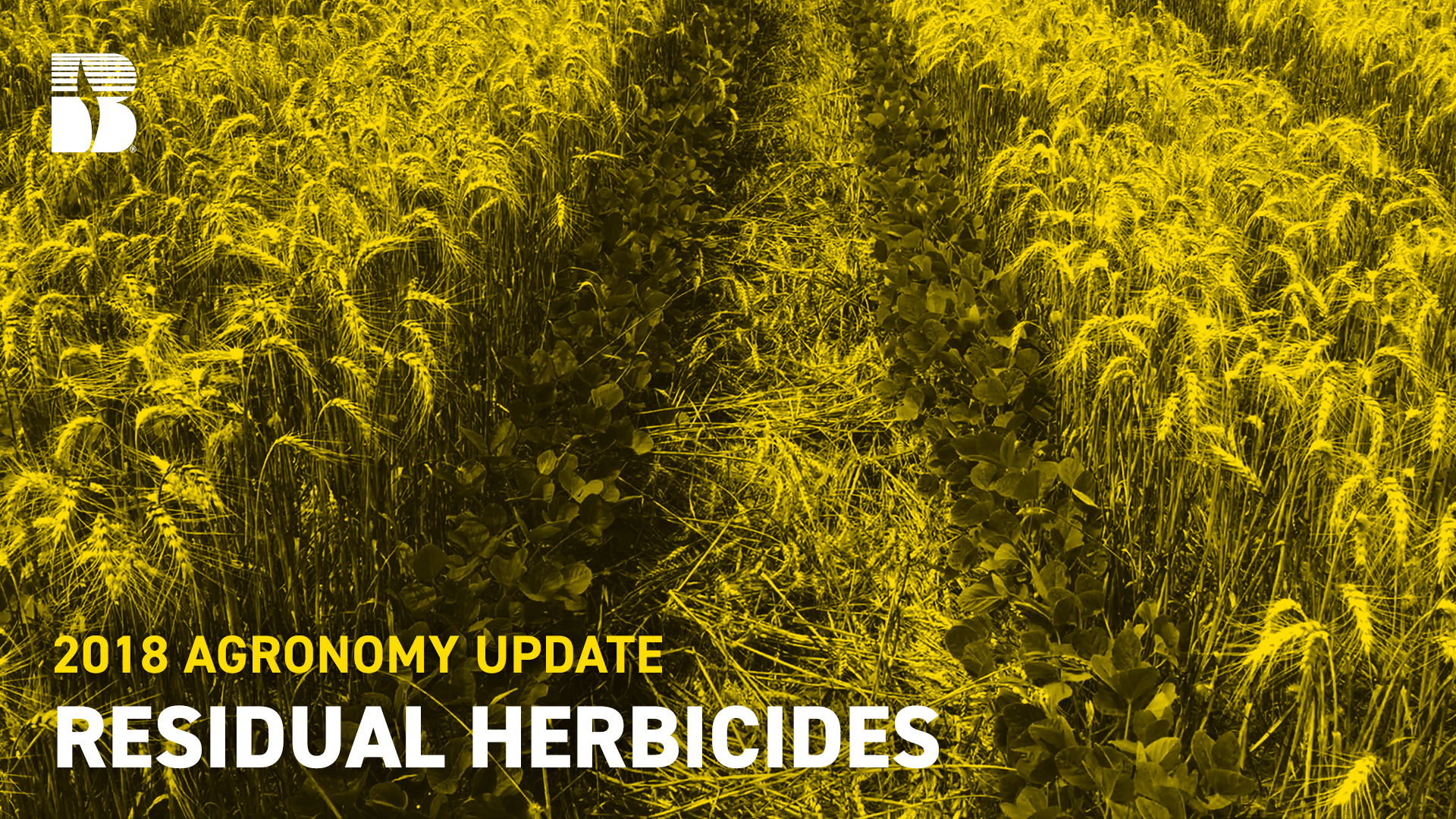 Agronomy Update Residual Herbicides For Use In Double Crop Or