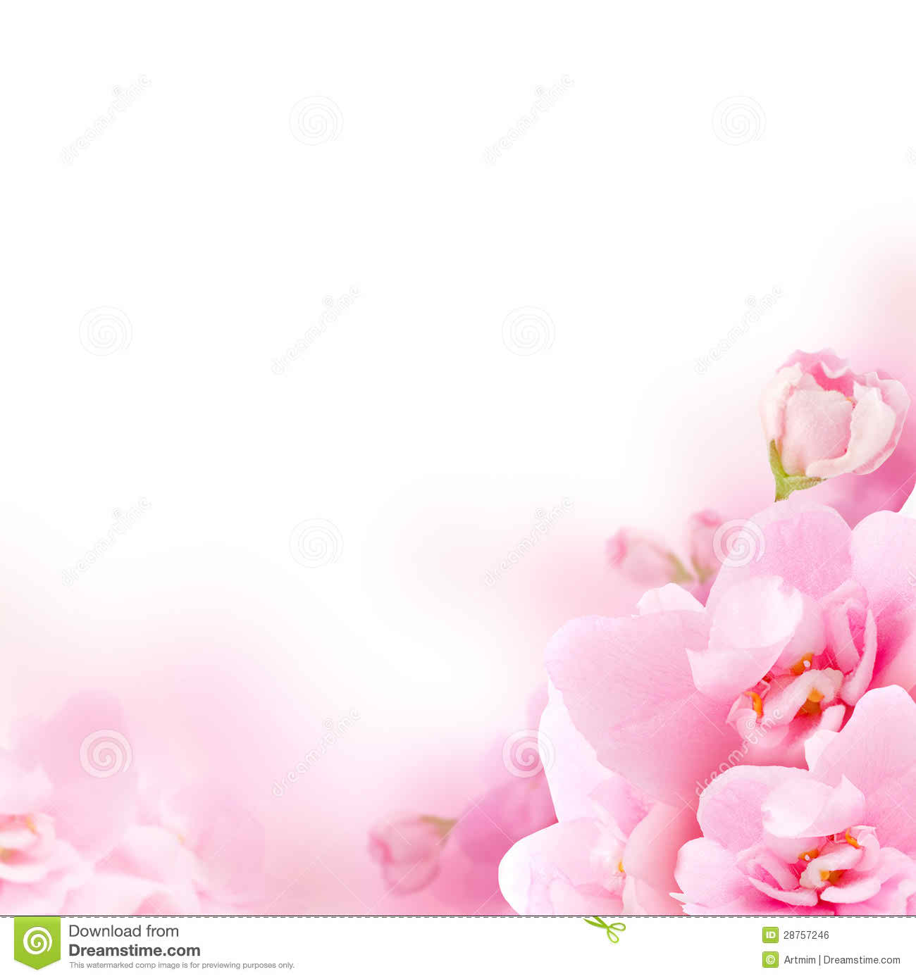 Background White Pink Flowers Light