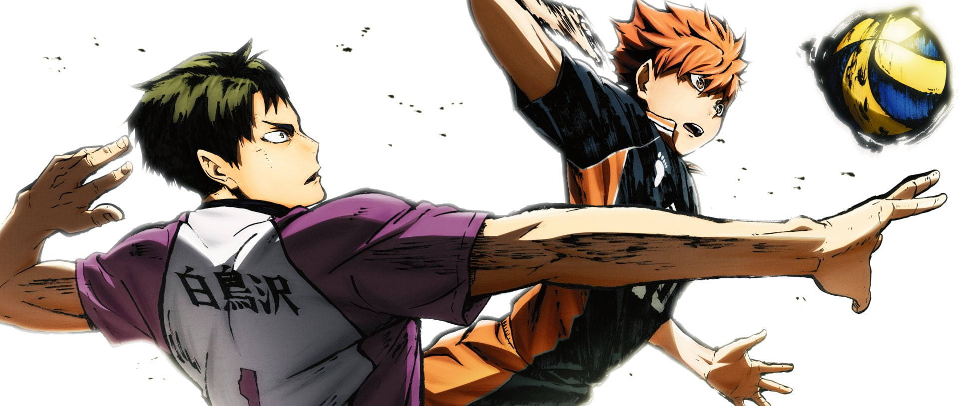 Shoyo Hinata Wallpaper