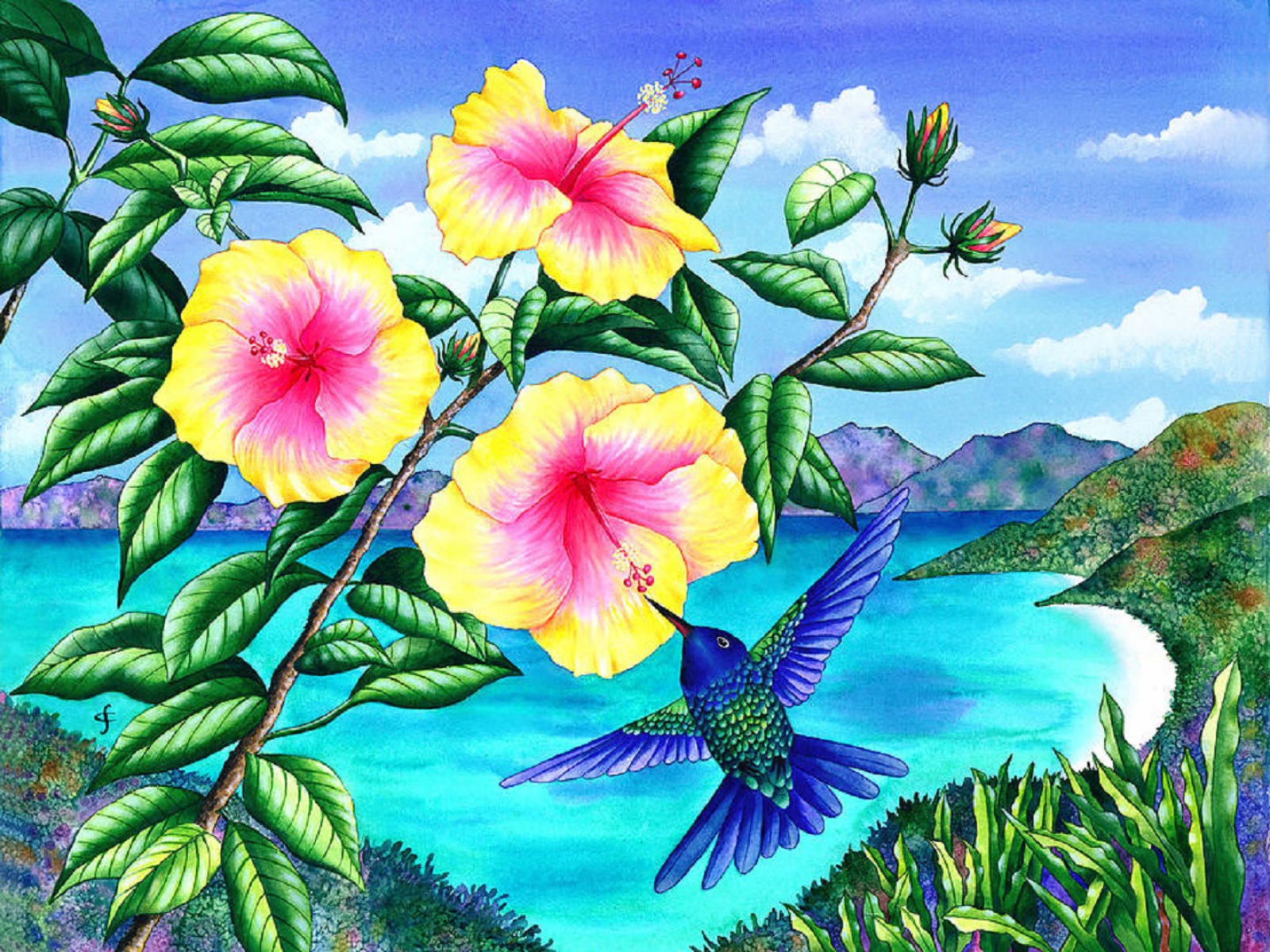 Hummingbirds Yellow Hibiscus Desktop Pc And Mac Wallpaper