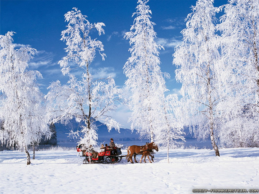Winter in Switzerland WINTER Pinterest 900x675