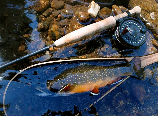 Sage Fly Fishing Wallpaper