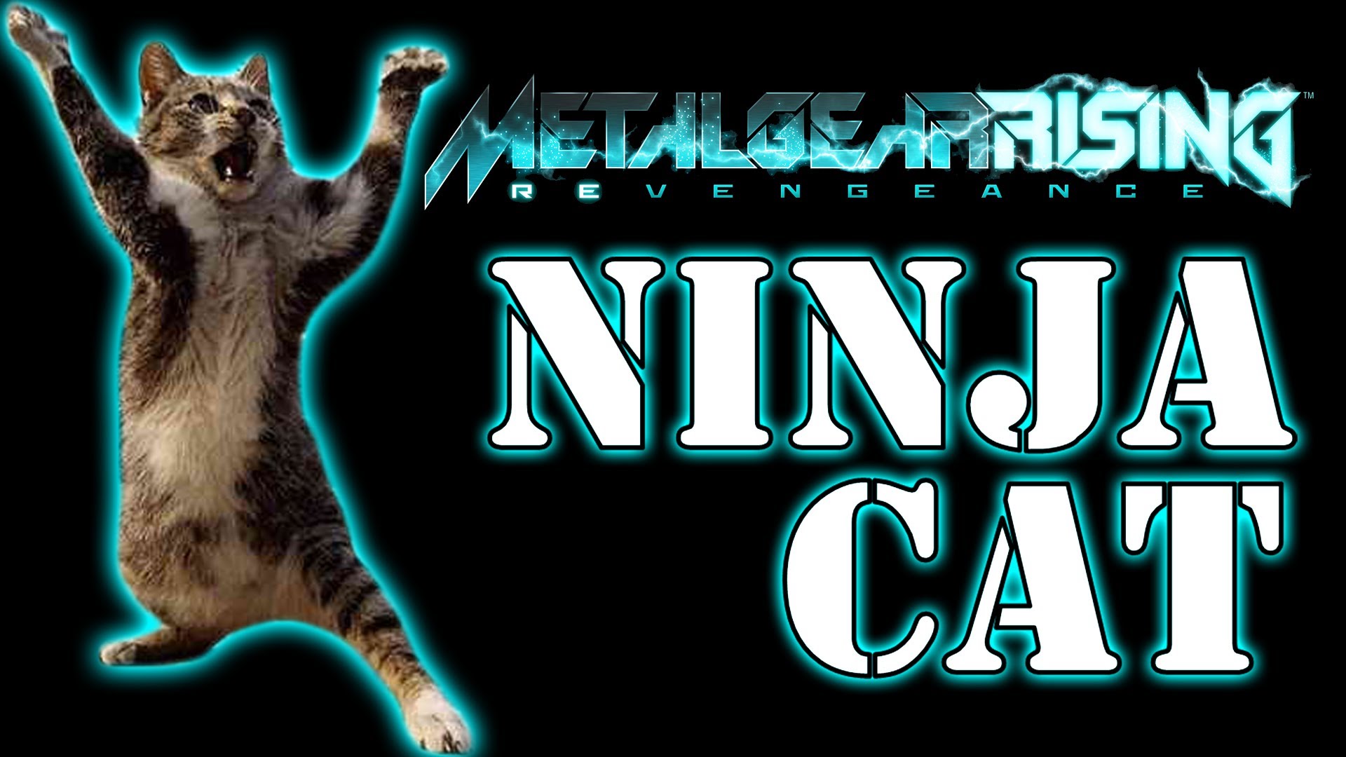 Metal Gear Rising Revengeance Ninja Cat Easter Egg