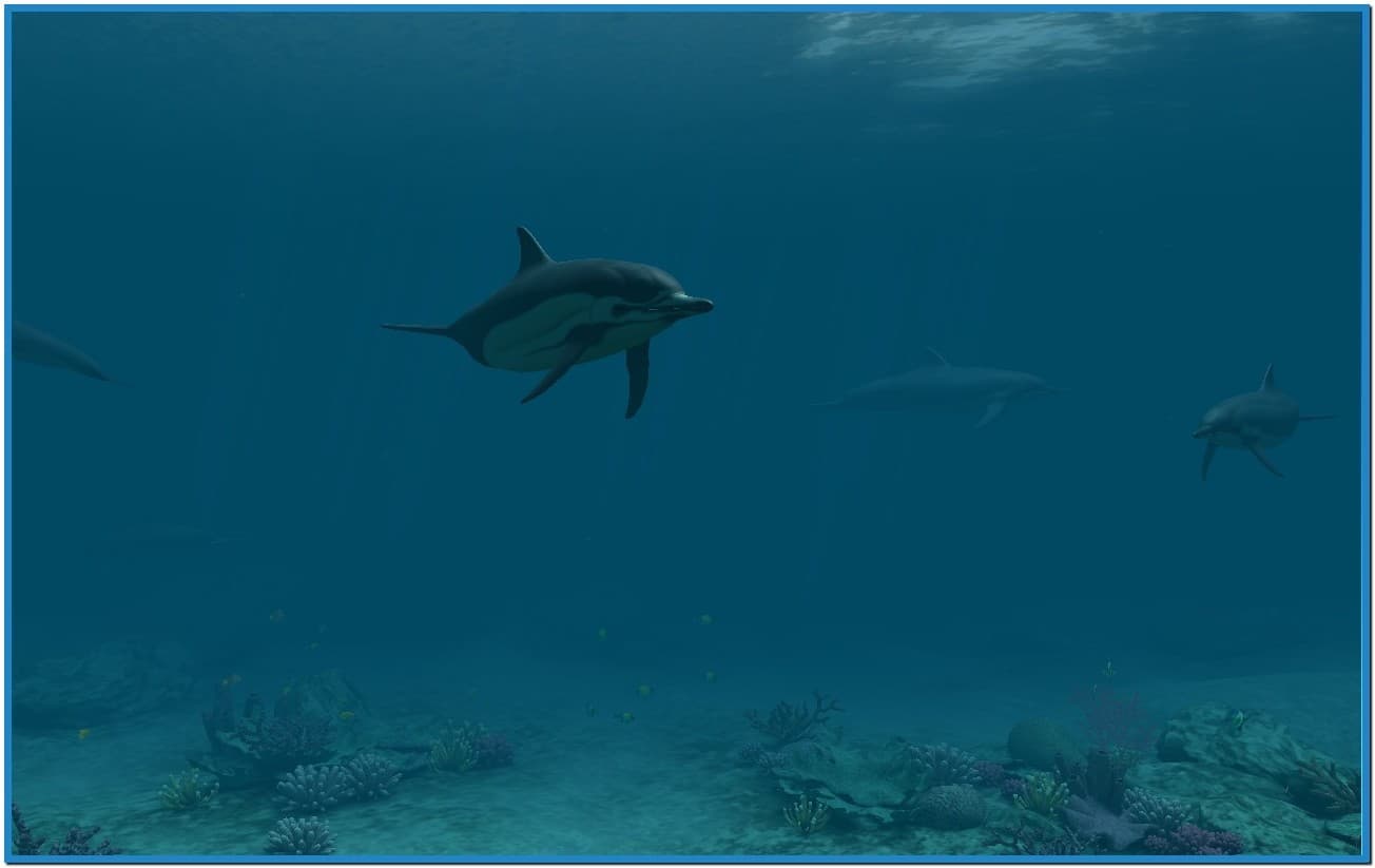 Dolphins 3d Screensaver And Animated Wallpaper