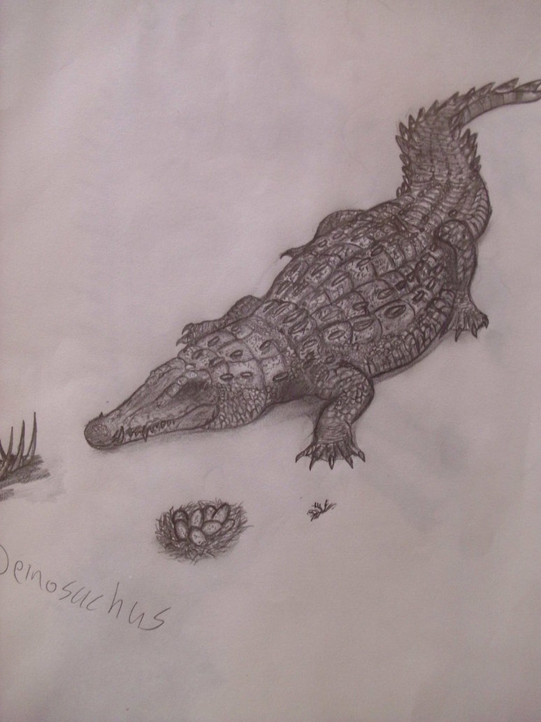 Deinosuchus By Teratophoneus