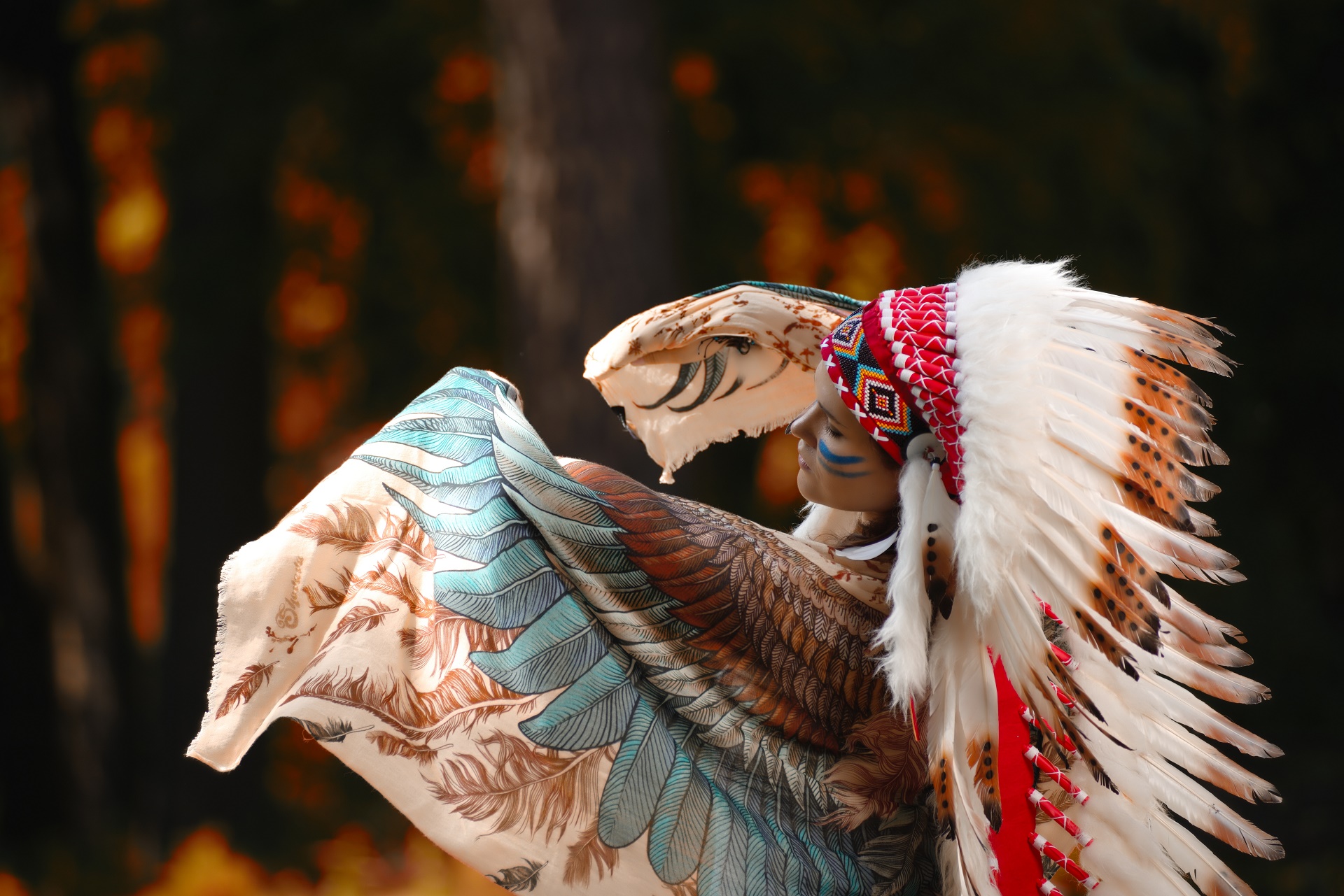Beautiful Native American Indian Wallpaper For Desktop Full Screen