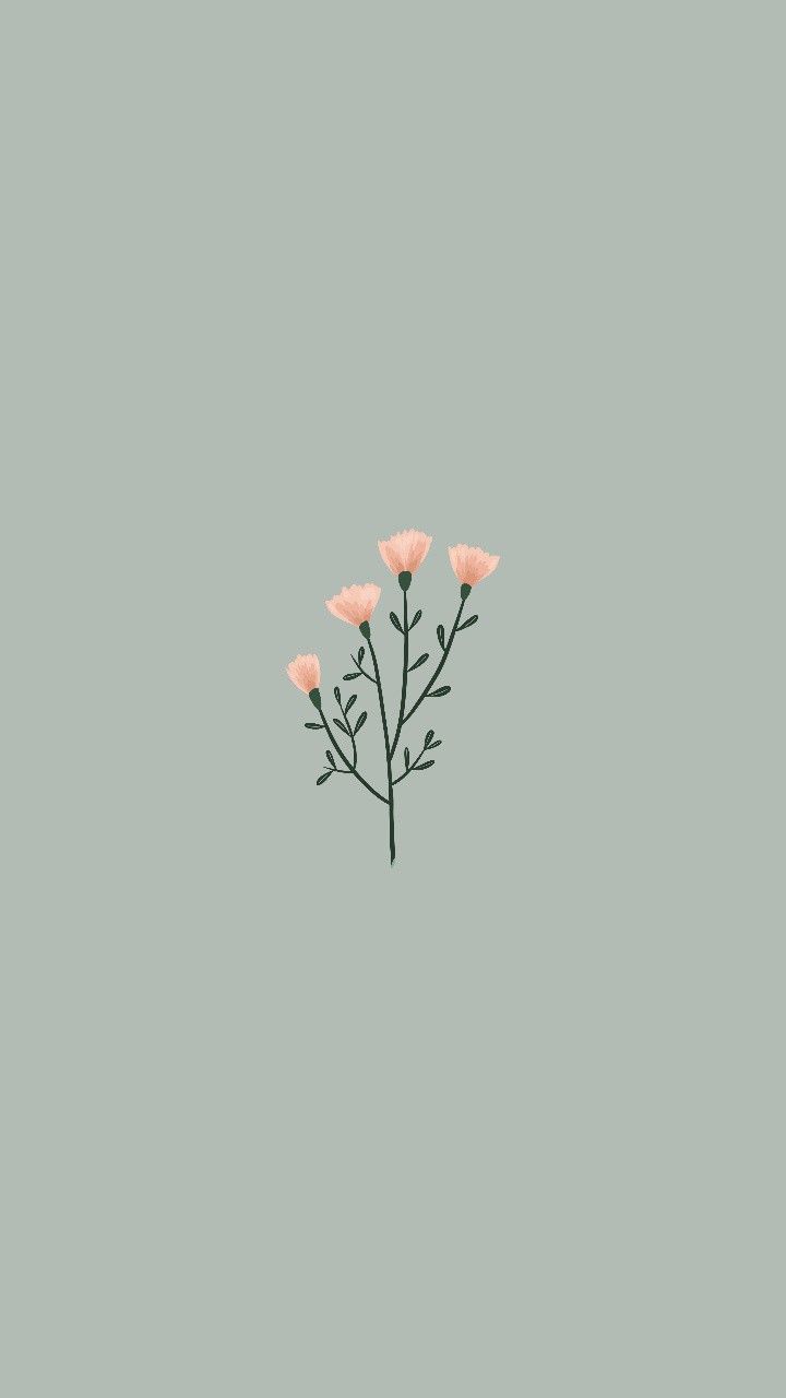 31+] Aesthetic Flowers Simple Wallpapers - WallpaperSafari