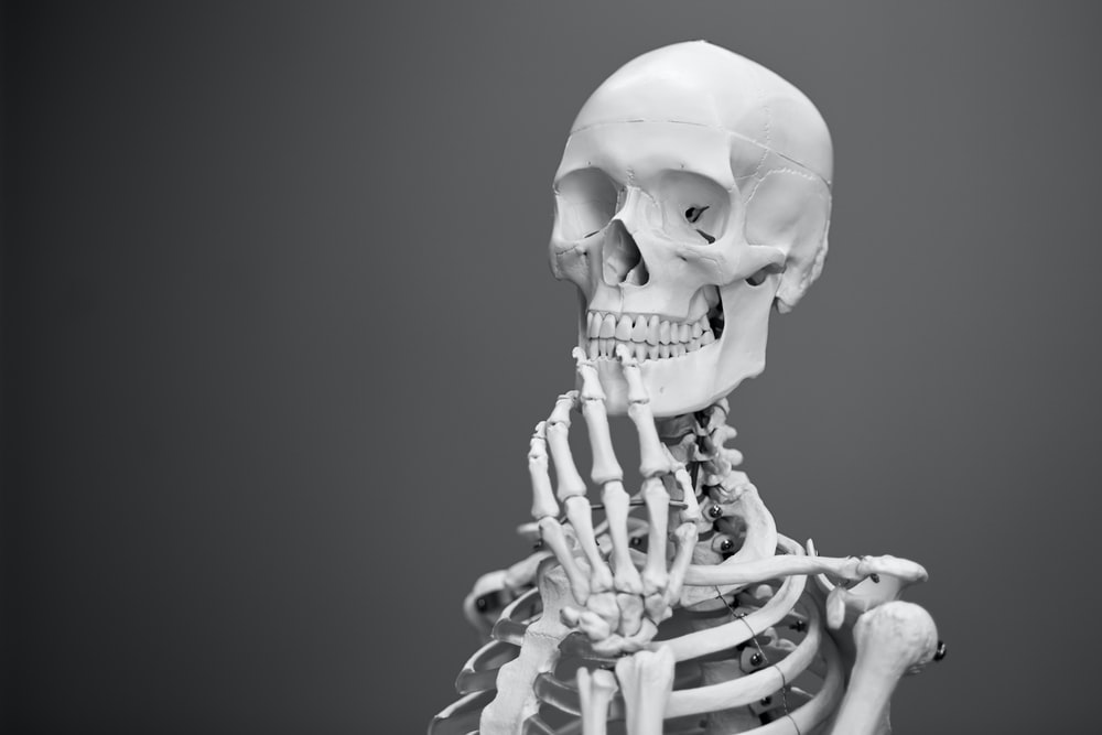 Skeleton Pictures HD Image