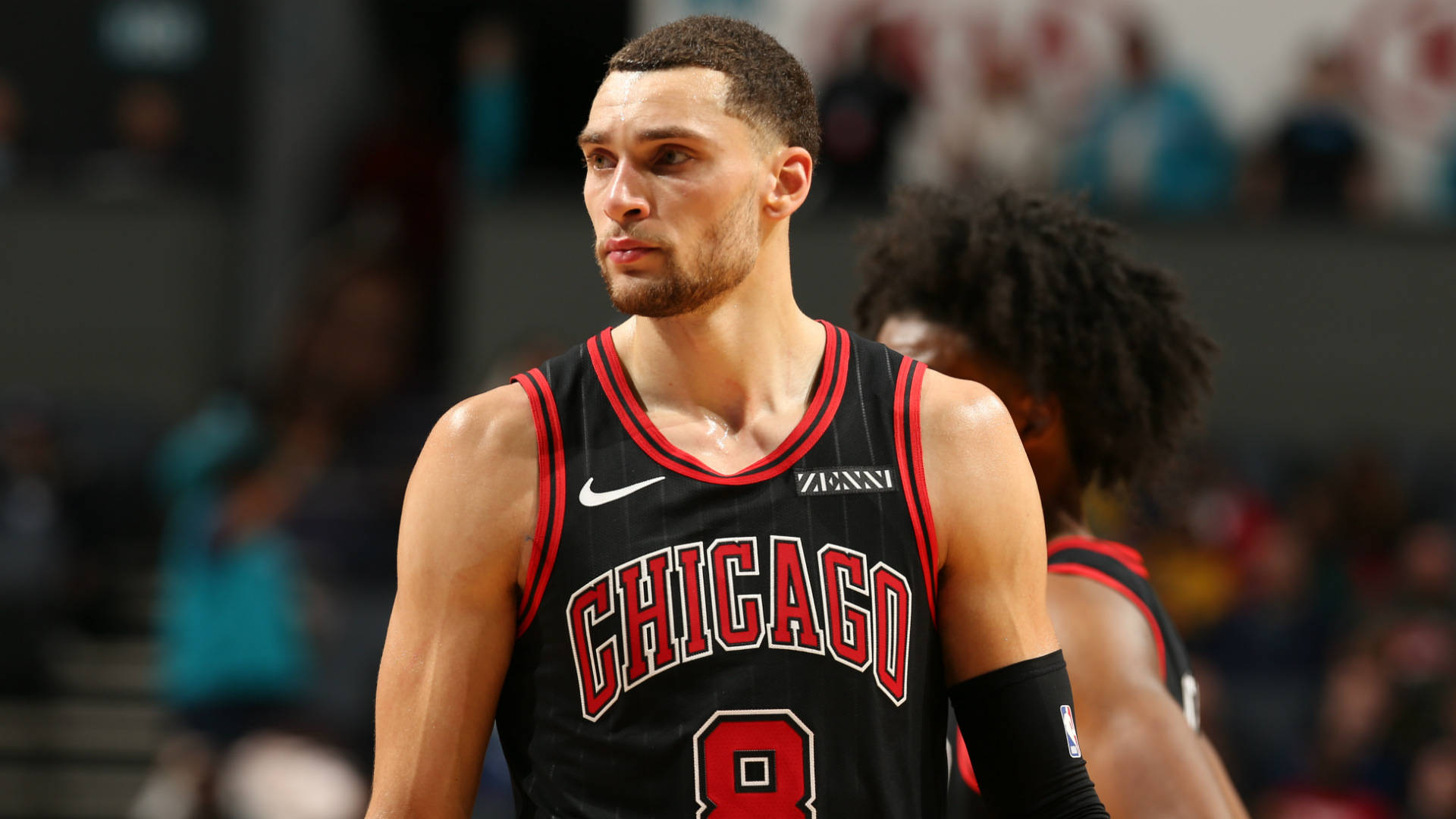 Lavine Wallpaper