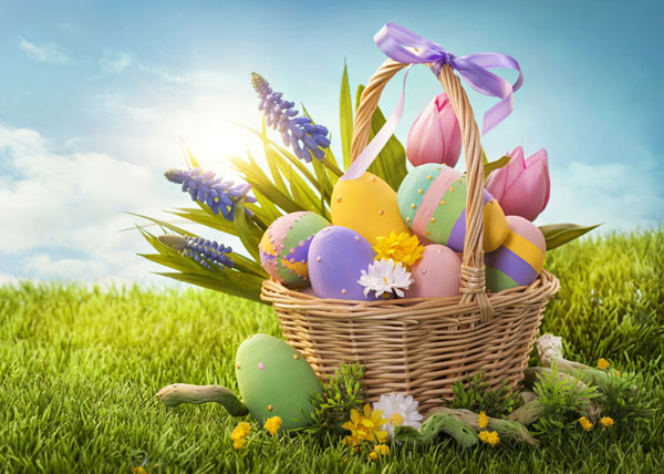 Happy Easter Eggs Bunnies Basket Pictures Image Background