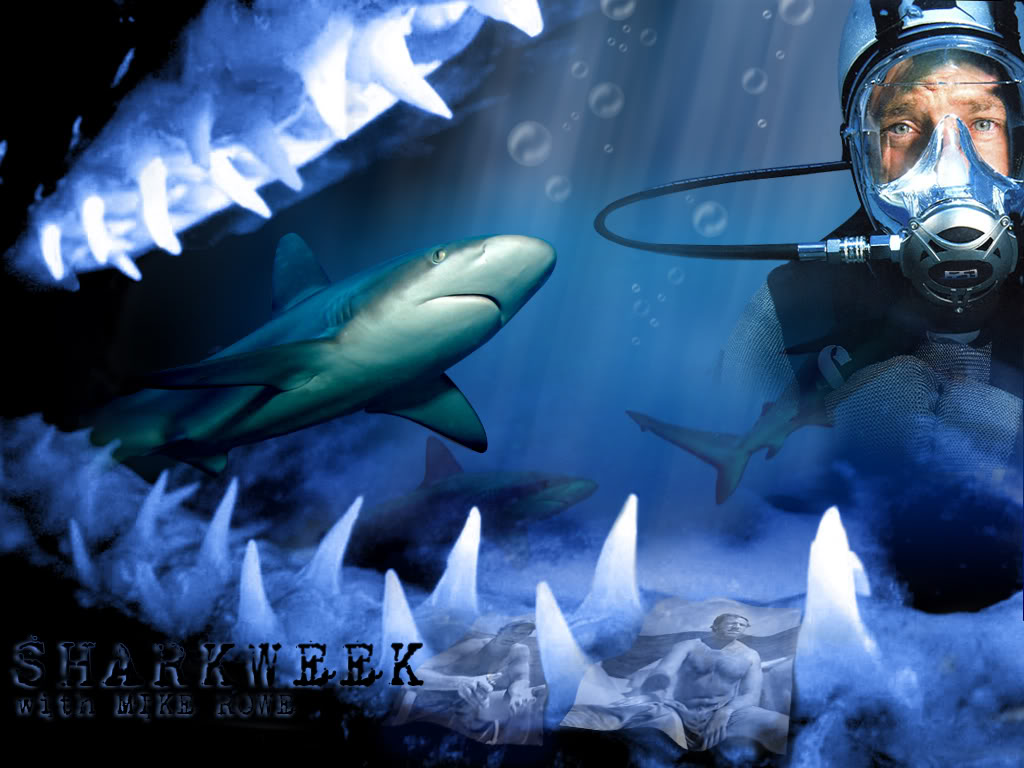 Shark Week Wallpaper