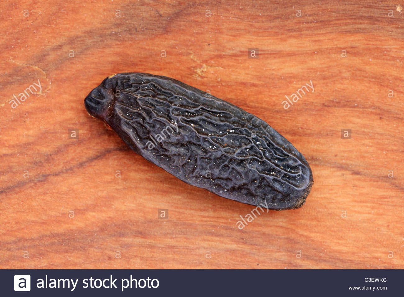 Macro Image Of A Tonka Bean Dipteryx Odorata On Wood Background