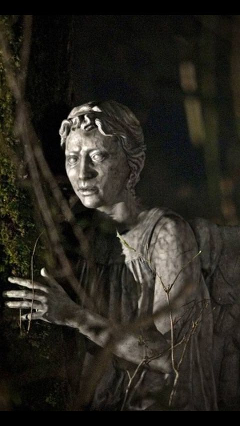 Weeping Angel iPhone Wallpaper Dr Who
