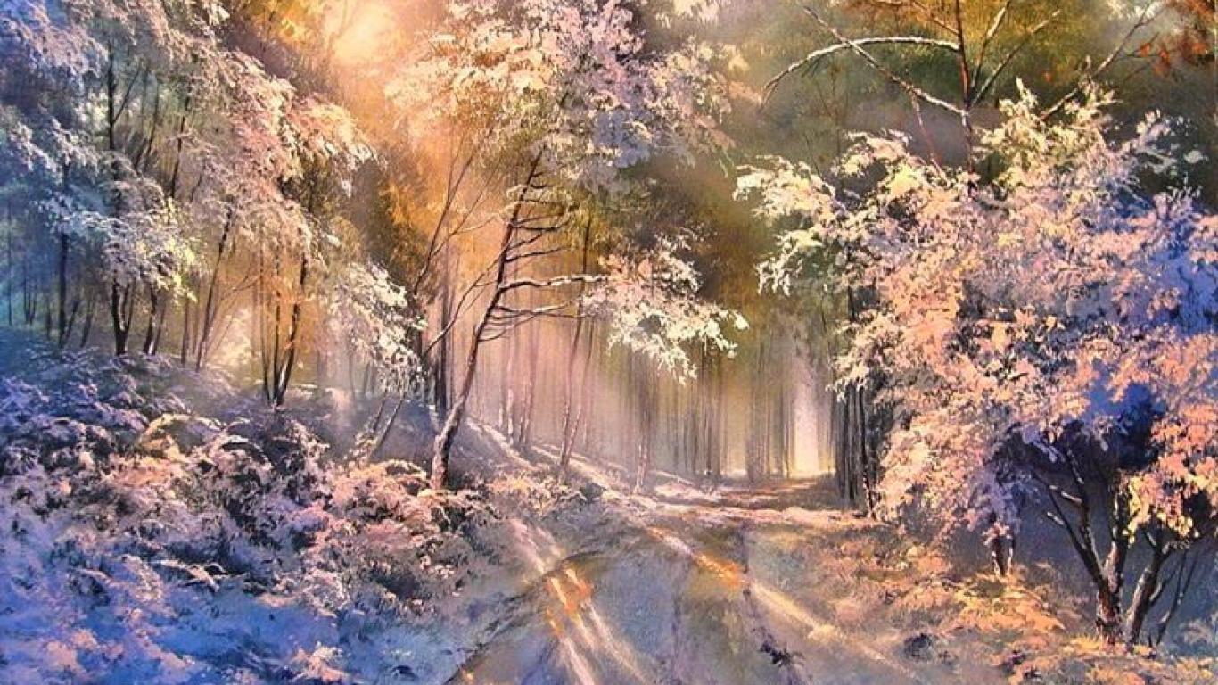 Sunny Winter Day In The Forest Wallpaper HD