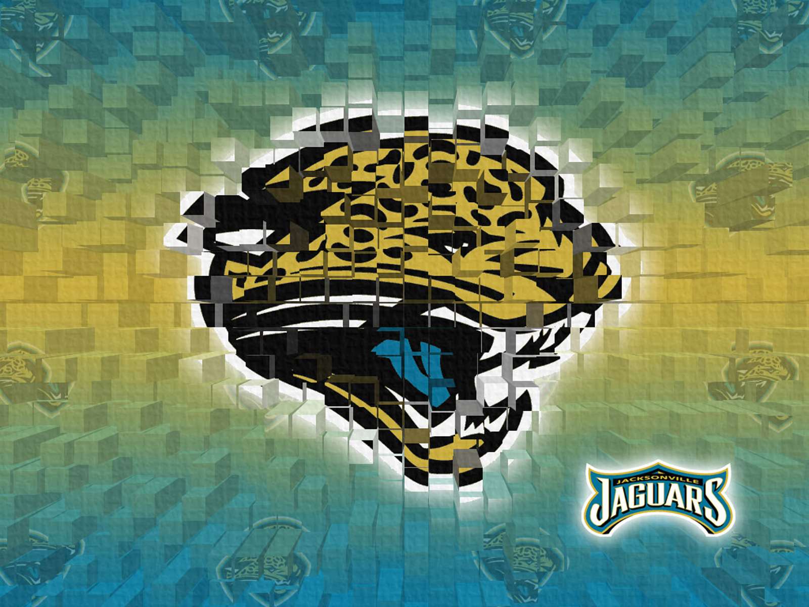 Jacksonville Jaguars Lots Pics