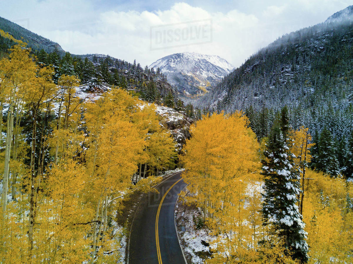 Road Through Forest In Autumn Colors With Snow And Mountains