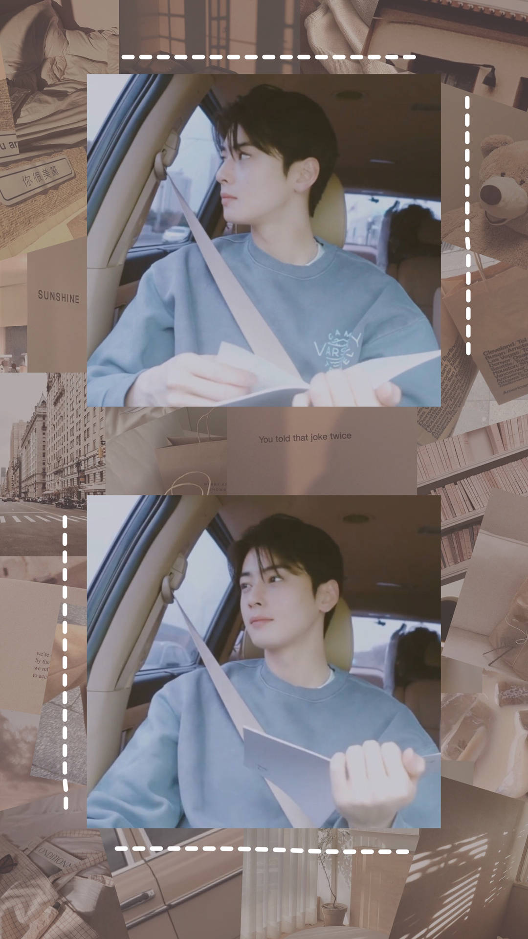 Cha Eun Woo Wallpaper