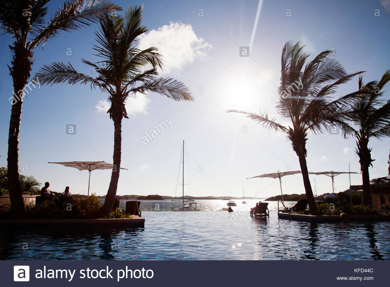 Bermuda The Infinity Pool At Hamilton Princess Beach Club