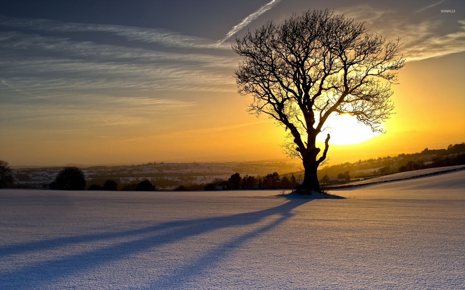 Lonesome Tree Shadowing On The Snow Wallpaper Nature