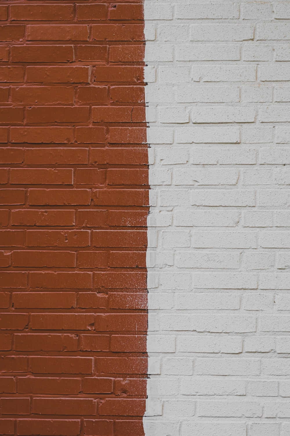 Half Background Wallpaper