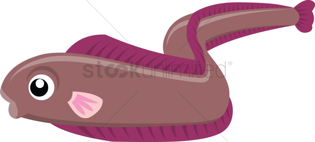 An Eel Fish On White Background Vector Image