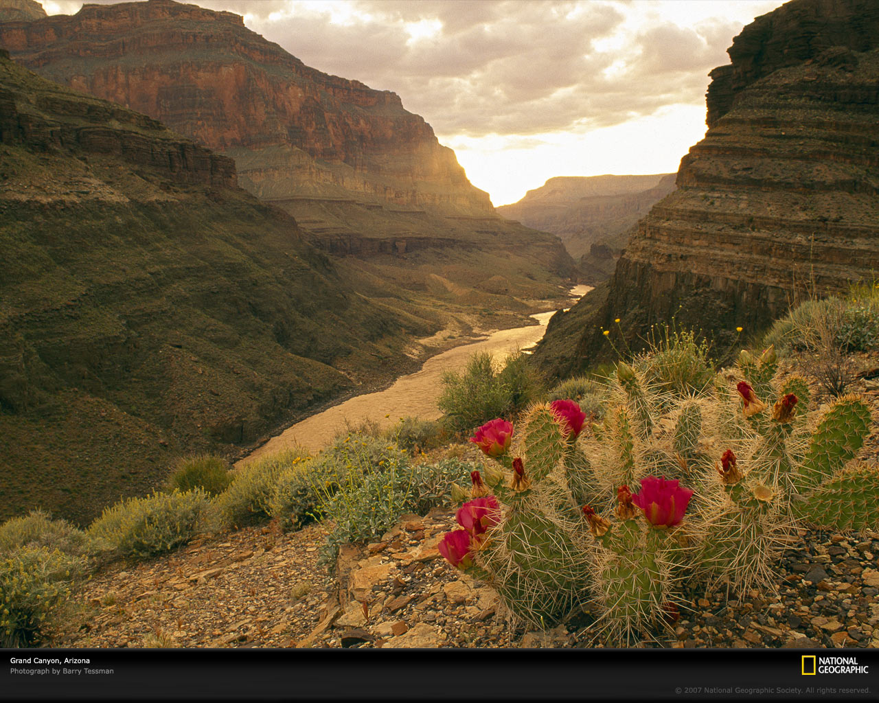 Colorado River Wallpaper Photos National Geographic