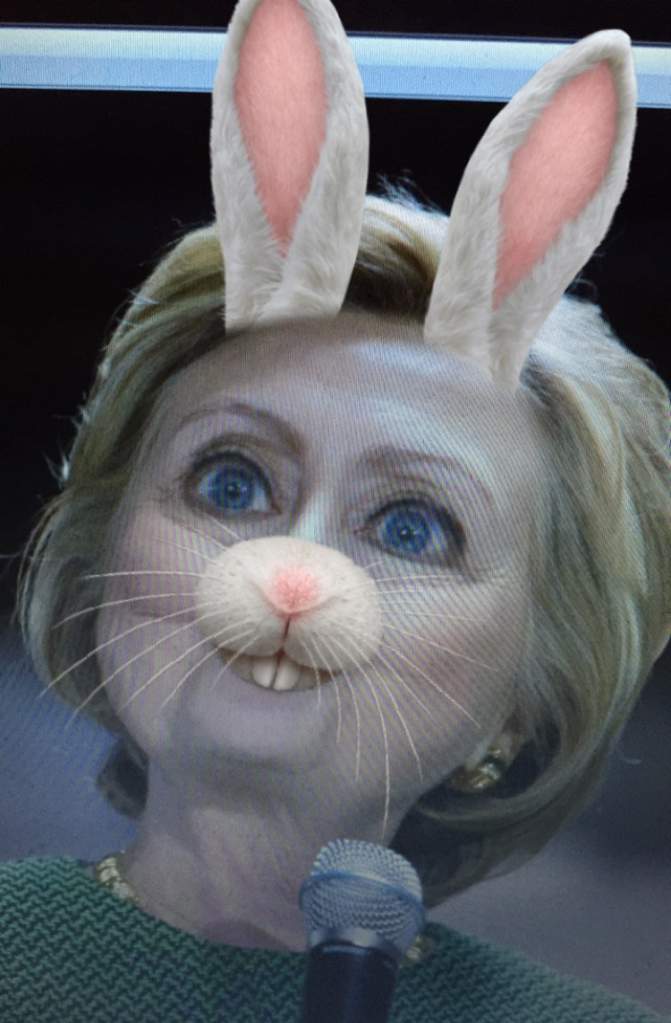 Hillary Clinton Funny Photoshop Pics