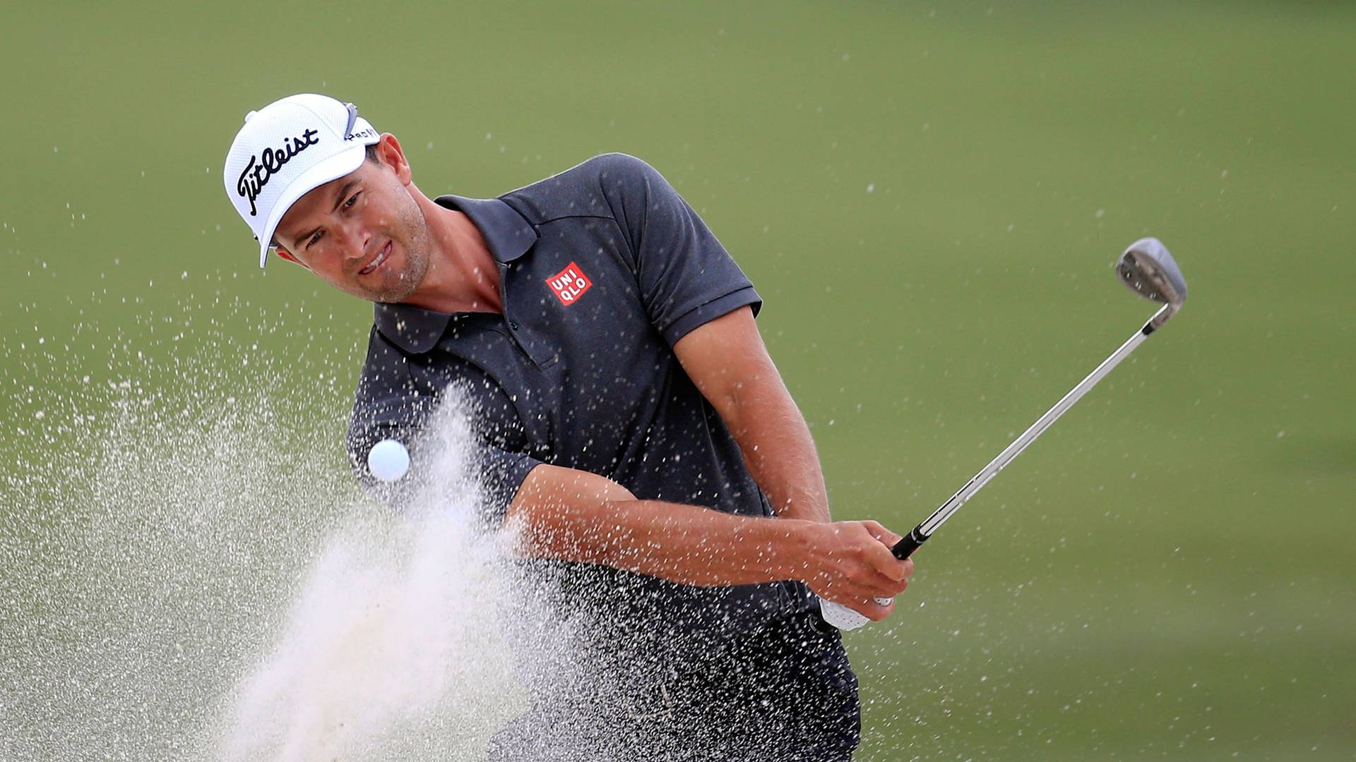 Fondos De Fotos Adam Scott Wallpaper