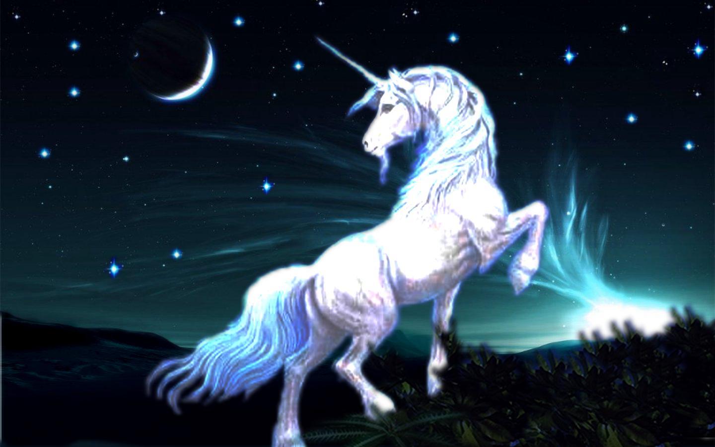 3d Unicorn Wallpaper Related Keywords amp Suggestions   3d 1440x900