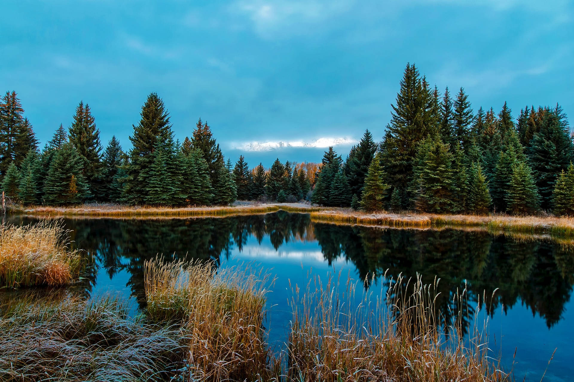 Forest Lake Wallpaper