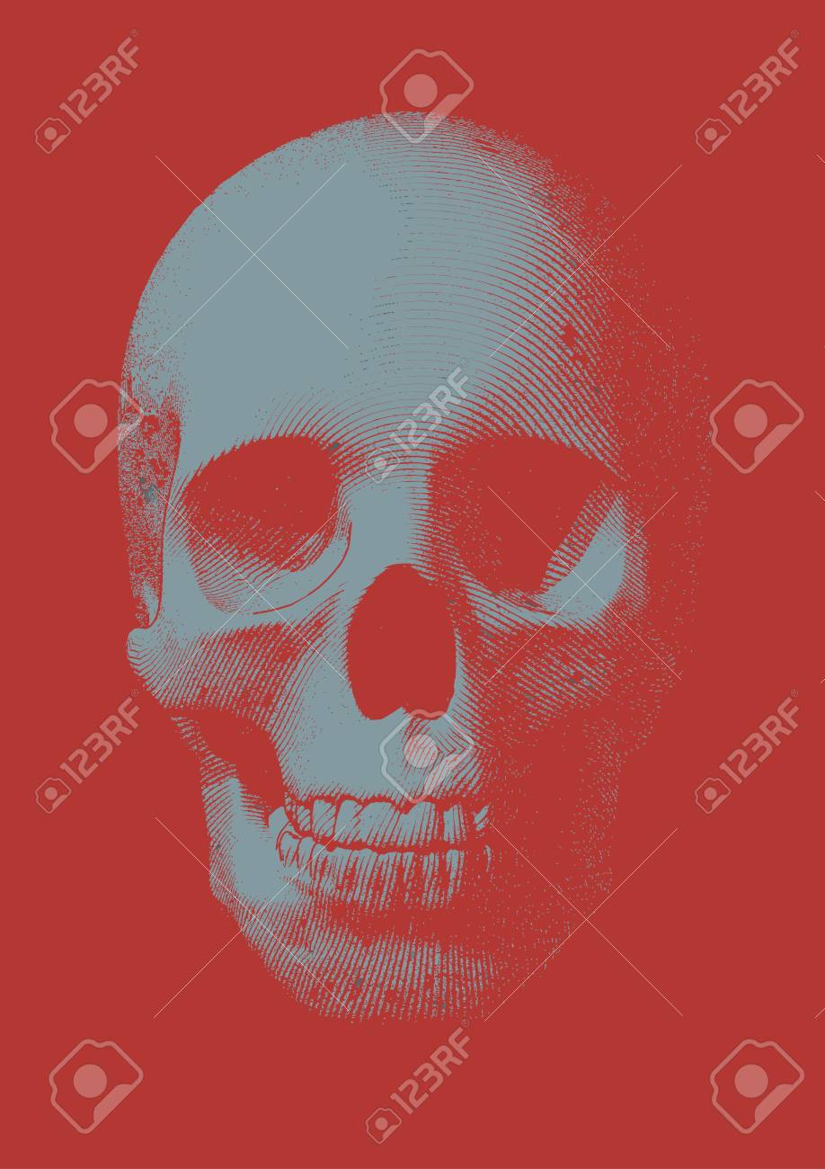 Light Blue Gray Engraving Skull Front Vector Illustration