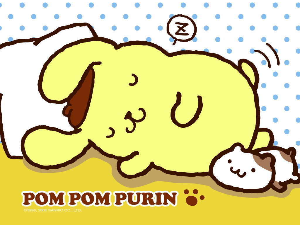 Best Pom Purin Background Poms