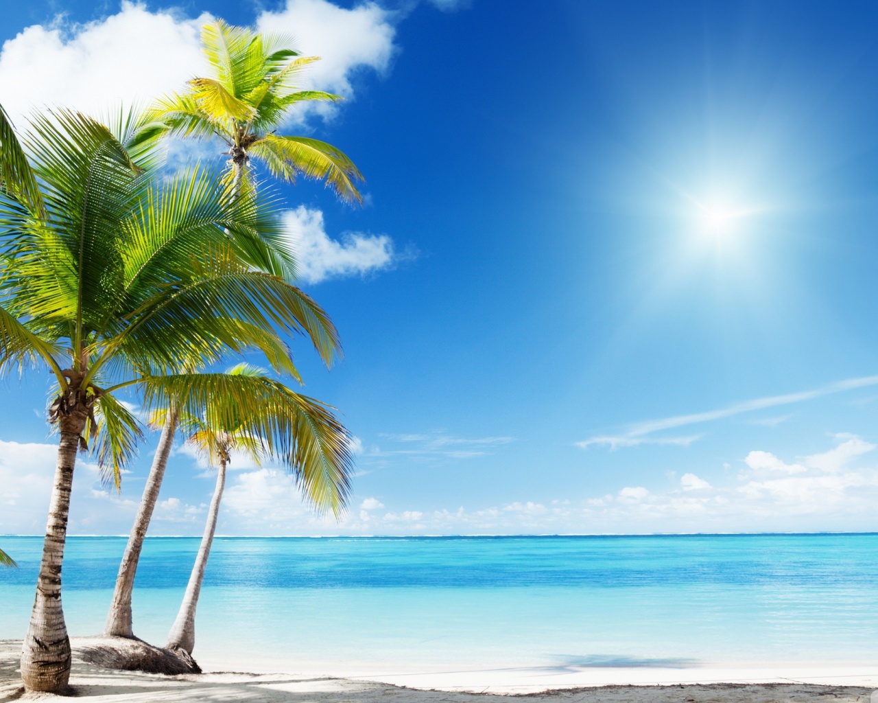 Tropical Beach Desktop Pc And Mac Wallpaper