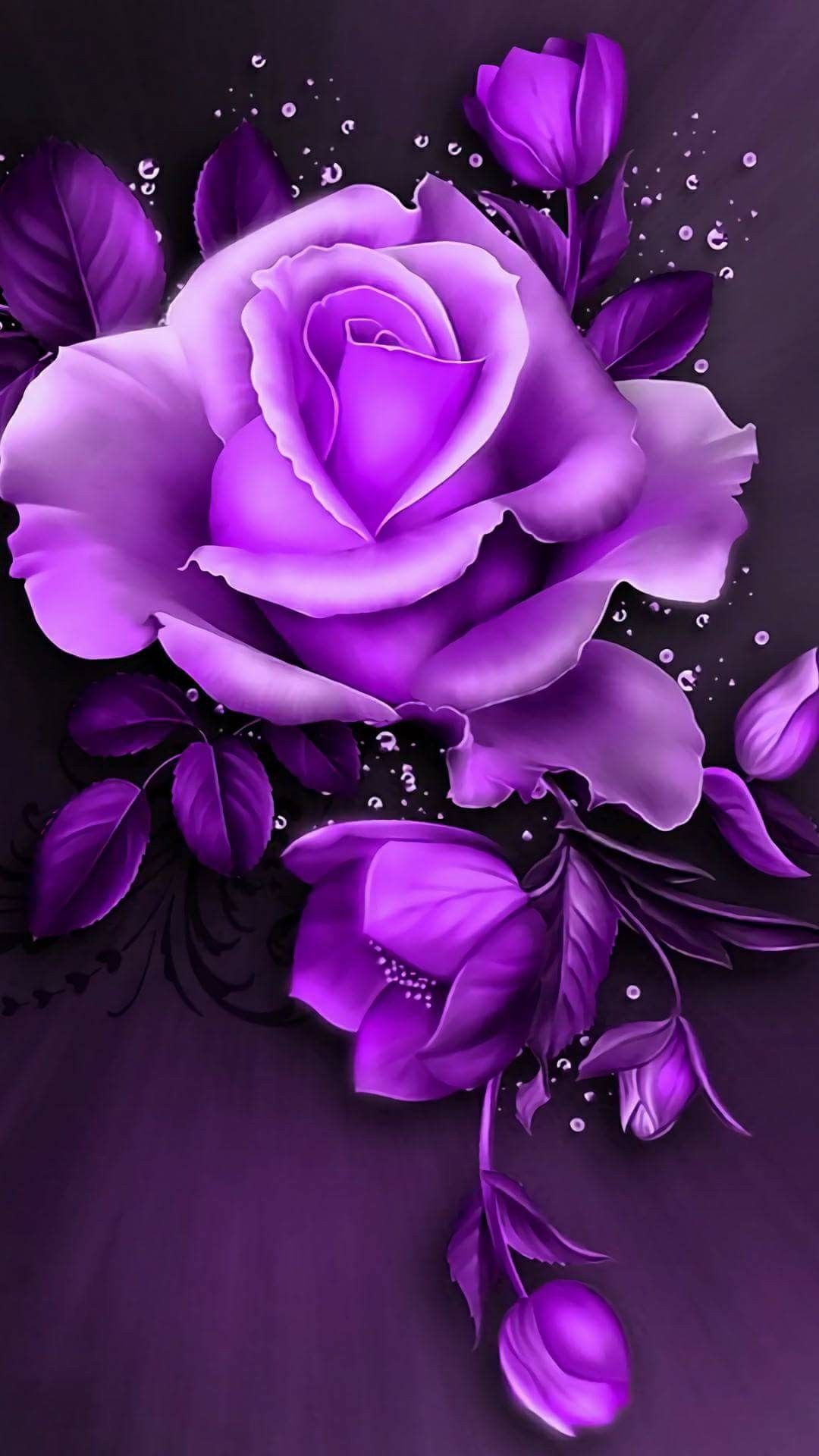 Purple Roses Wallpaper Pink iPhone Flower Phone