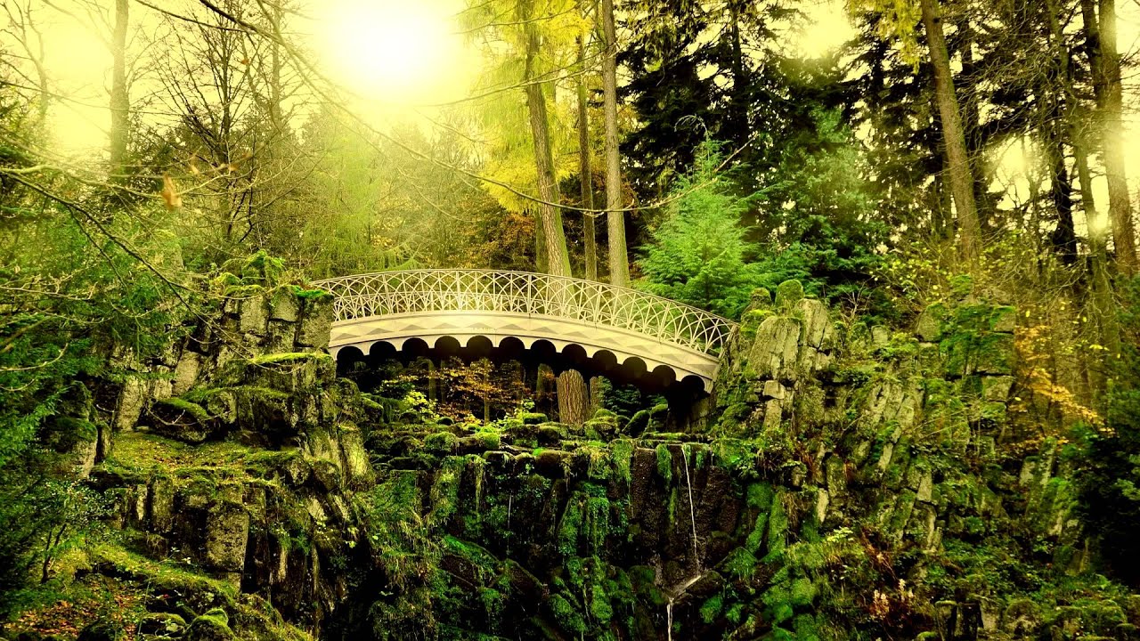 Beautiful Fantasy Music Sacred Elven Forest
