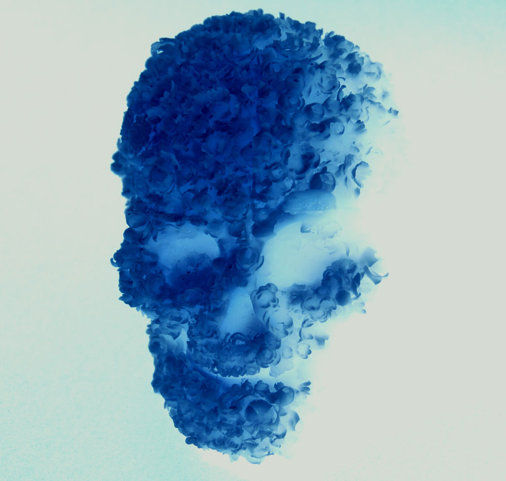 Blue Skull Photos HD Wallpaper Pics