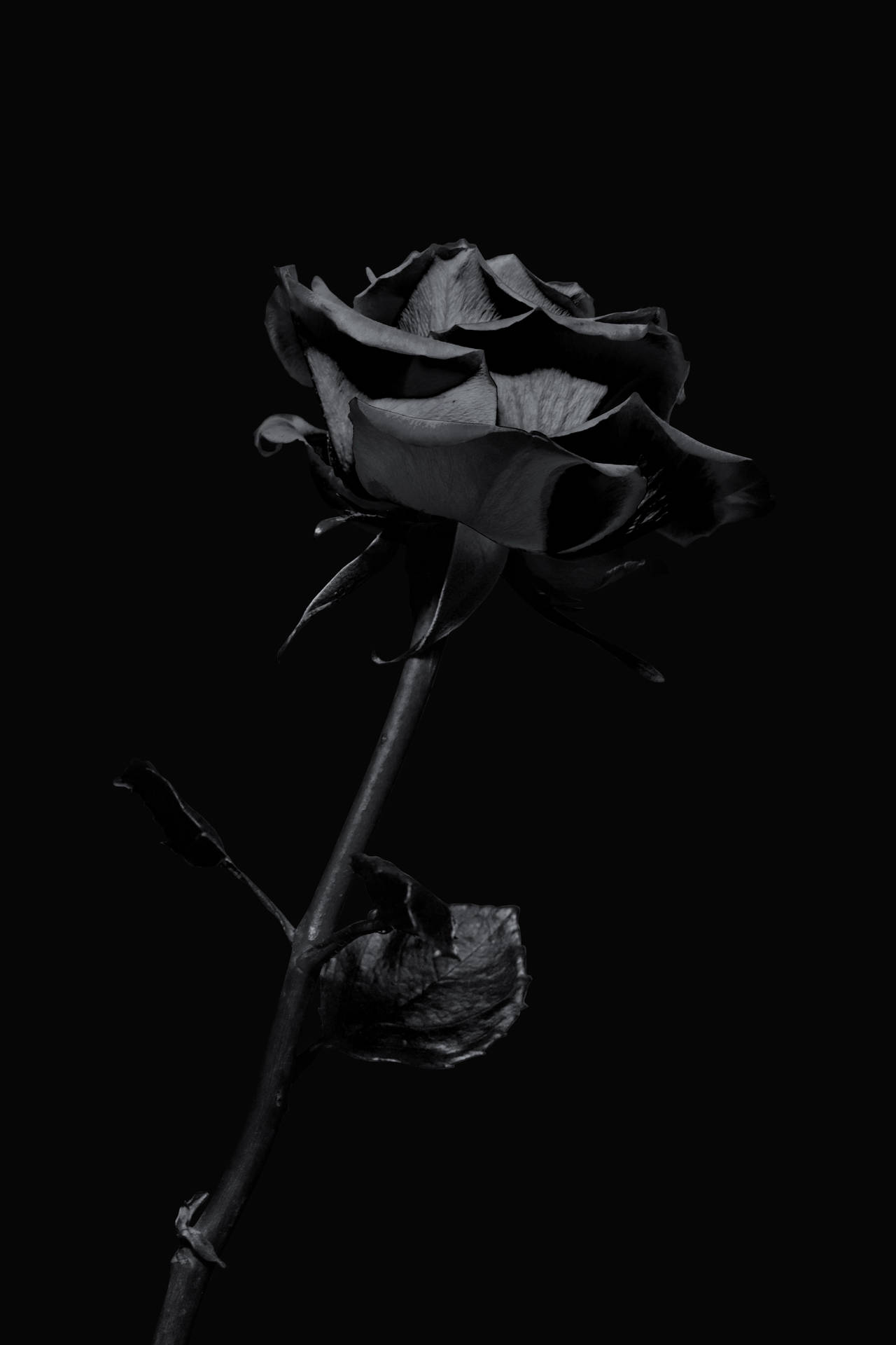 Black iPhone Wallpaper