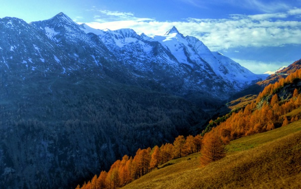 Wallpaper Austrian Central Alps Mountain Autumn