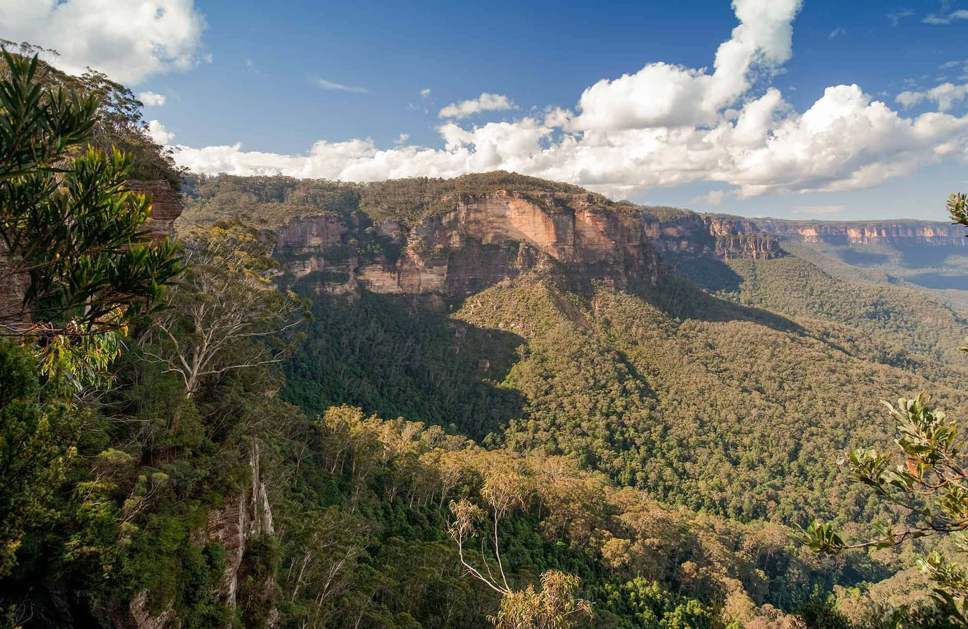 Enjoy The Majesty Of Nature With Beauty Blue Mountains Wallpaper