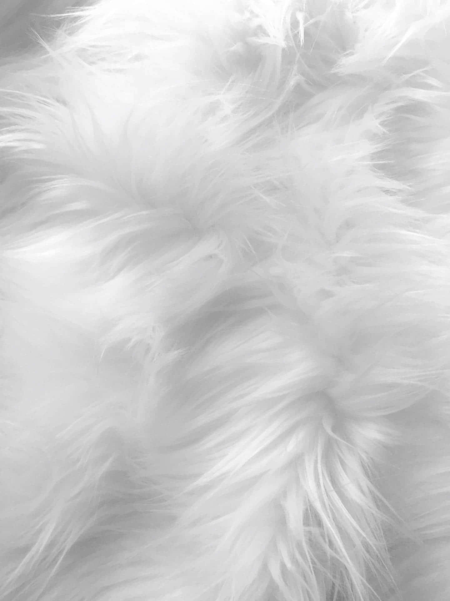 Soft Aesthetic Wallpaper