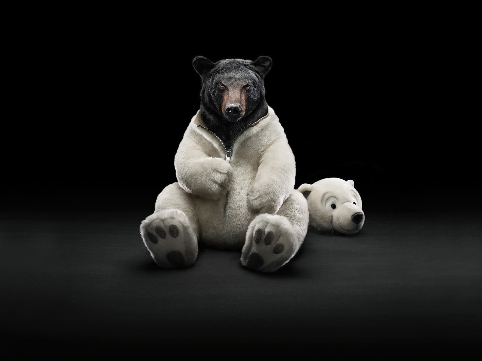 Original Wallpaper Polar Bear Ad HD