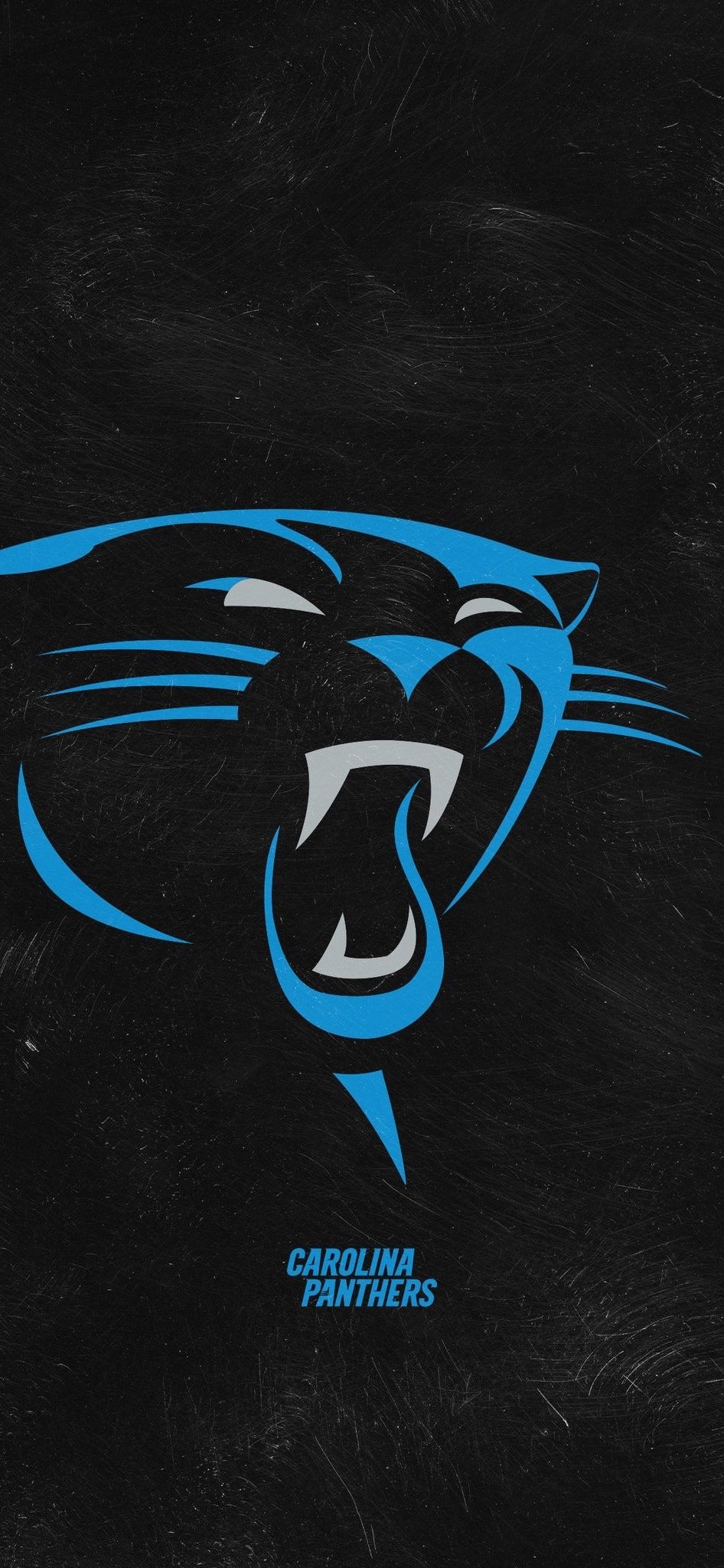 Carolina Panthers Wallpaper Top