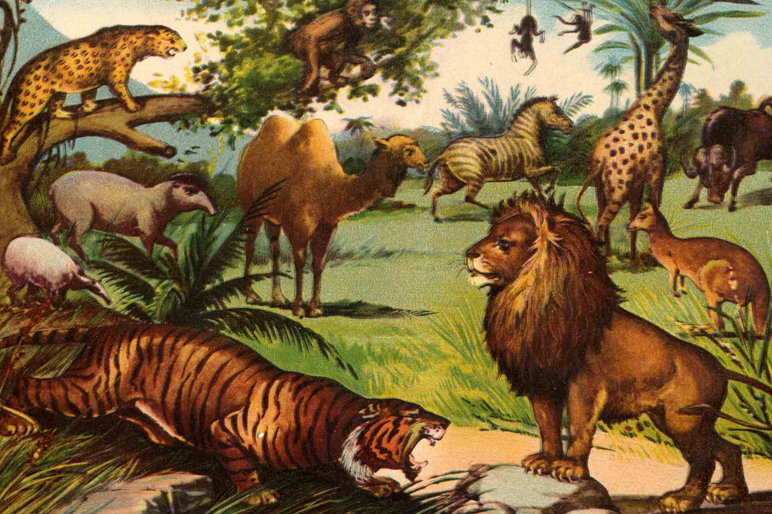 Safari Animals 7 Cool Wallpaper Wallpaper