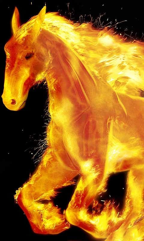  the Free Fire Horse Live Wallpaper App to your Android phone or tablet