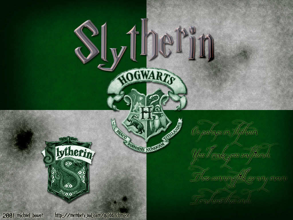 Slytherin Ftw Forever Hogwarts House Rivalry Photo