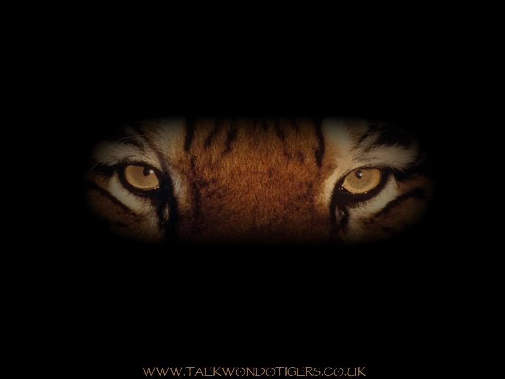 Tiger Eyes Background Wallpaper For Desktop