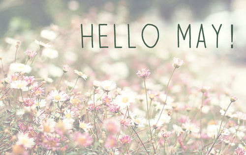 Hello May Wallpaper HD Images and Pictures 2015 Happy Holidays 2014