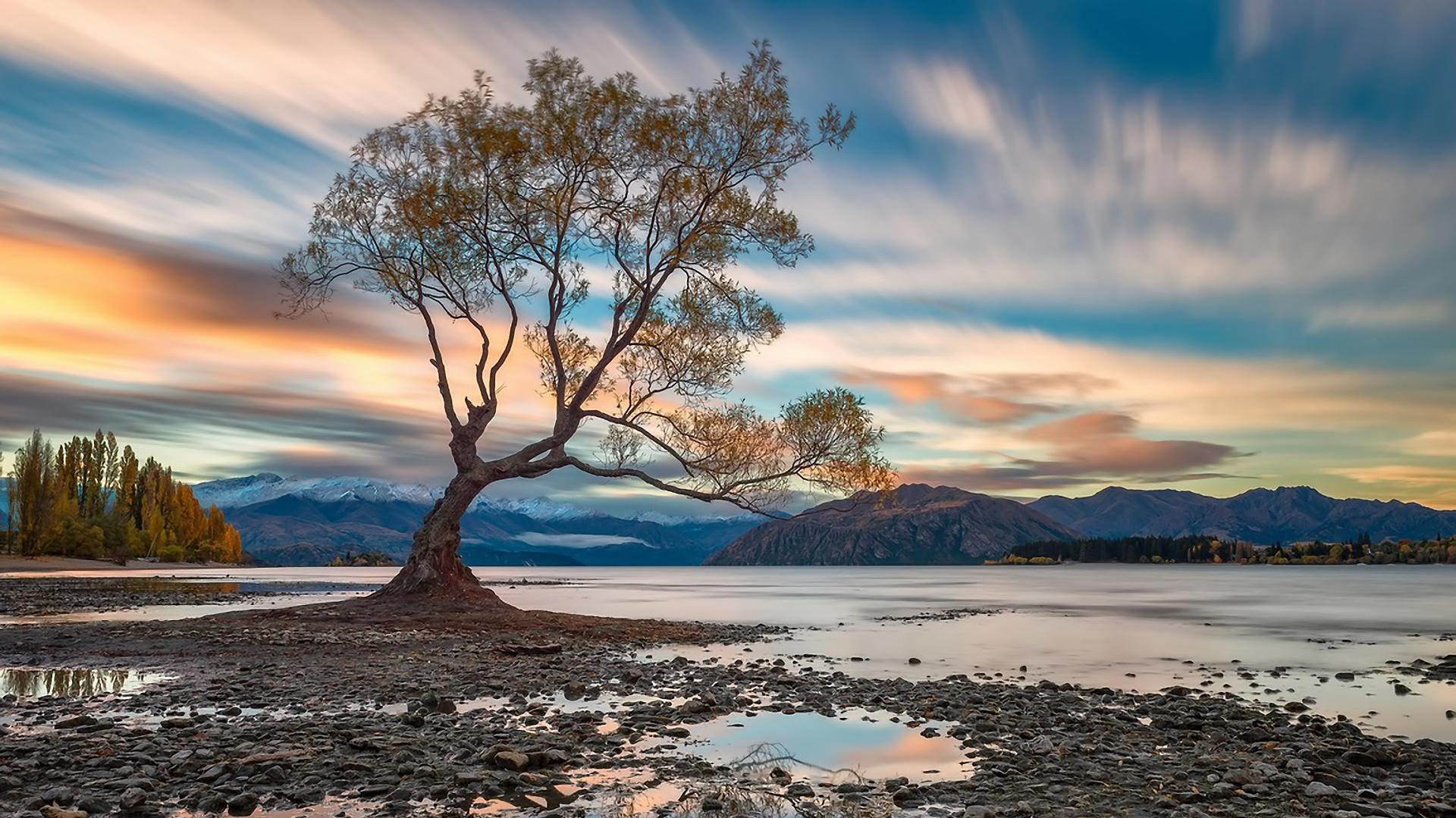Landscape Mountains Lake Sky Clouds Tree Wanaka Wallpaper