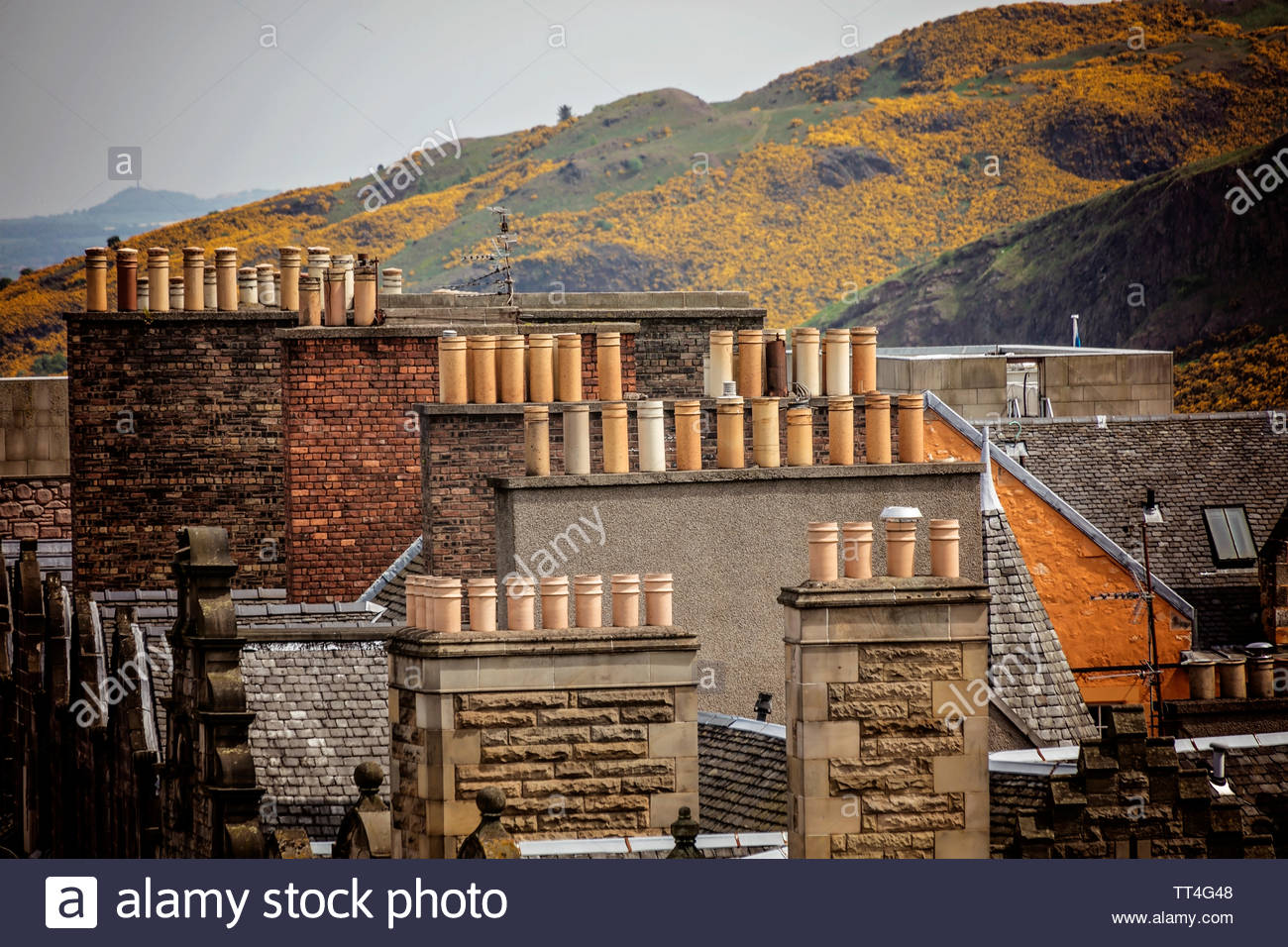 Chimney Pots And Stacks On Roofs With Salisbury Crags In